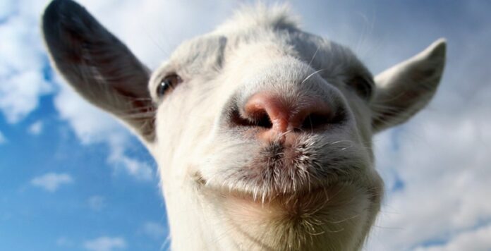 20823568_goat1280-820x420