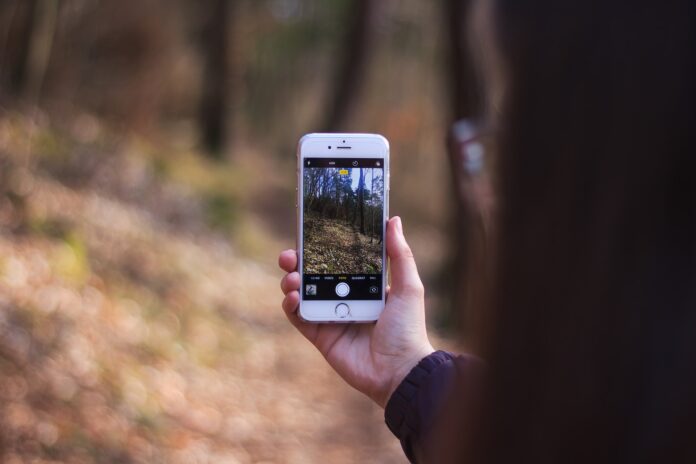 iPhone 6