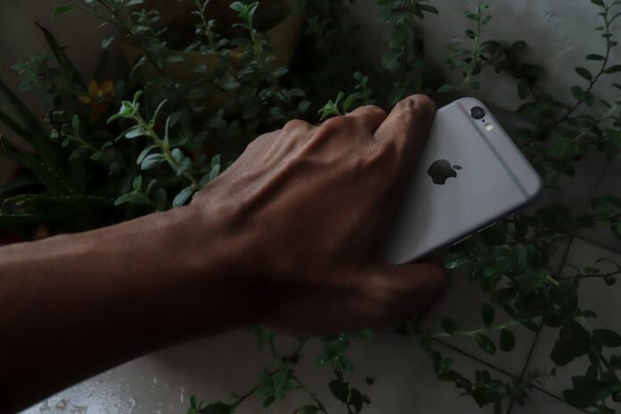 iPhone 6