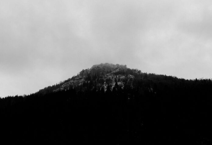 Višňovská dolina - svetapple.sk