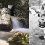 Najlepšie fotky od vás zachytené na iPhone. - svetapple.sk