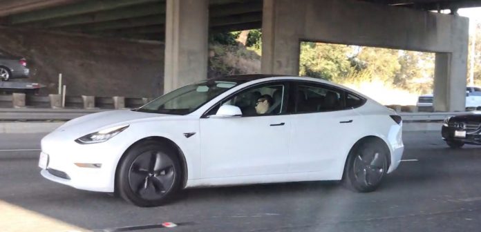 Tesla šoférovala, vodič spal. Elon Musk upozorňuje, že autopilot stále nie je 100%! - svetapple.sk