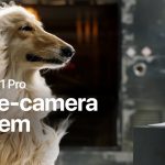 iPhone 11 Pro a jeho dokonalý fotoaparát v novej vtipnej reklame od Apple. - svetapple.sk