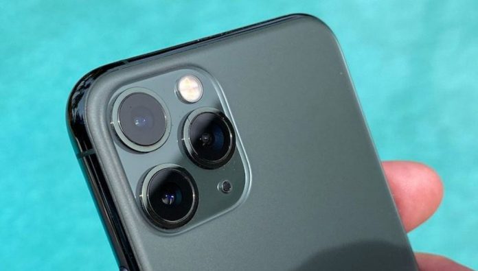 iPhone 11 Pro Cinematic Video Footage (shot in Sequoia National Park) - svetapple.sk