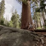 iPhone 11 Pro Cinematic Video Footage (shot in Sequoia National Park) - svetapple.sk