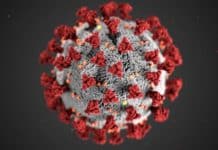 Alza pripravuje ambulatný test na koronavirus (COVID-19)
