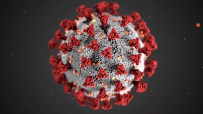 Alza pripravuje ambulatný test na koronavirus (COVID-19)