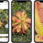 iOS 14: Apple povolilo väčšie približovanie záberov v aplikácii Fotky.