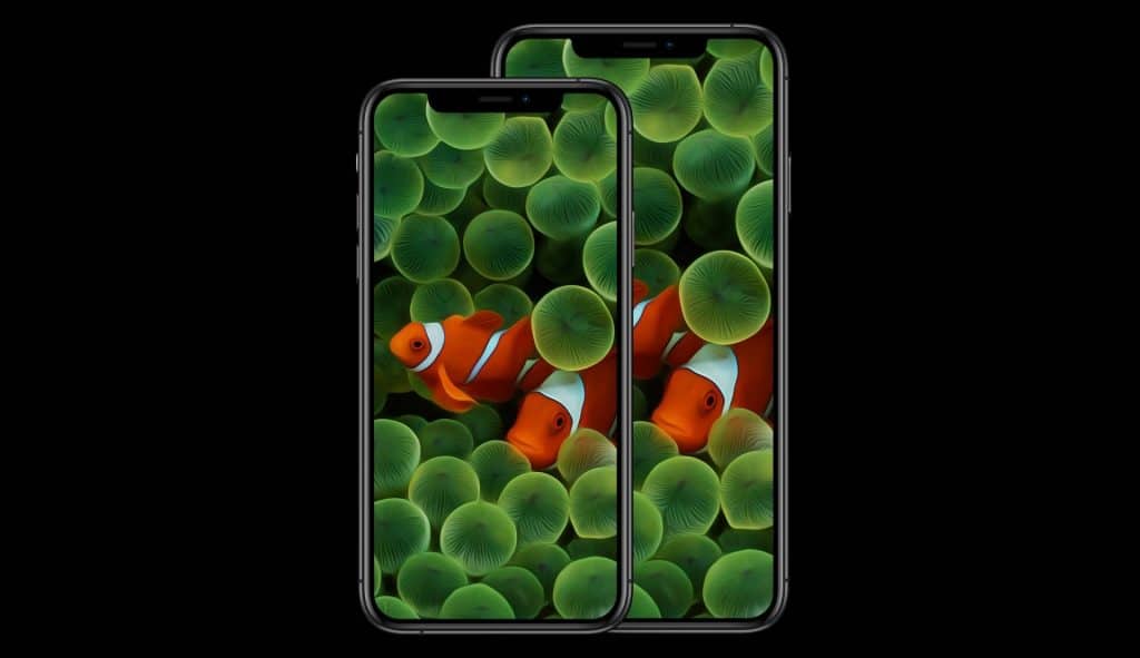 Pozadie "clownfish" pre moderné iPhony