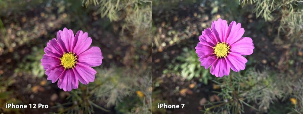 Porovnanie fotoaparátov iPhone 12 Pro vs iPhone 7. Je konečne čas na výmenu?