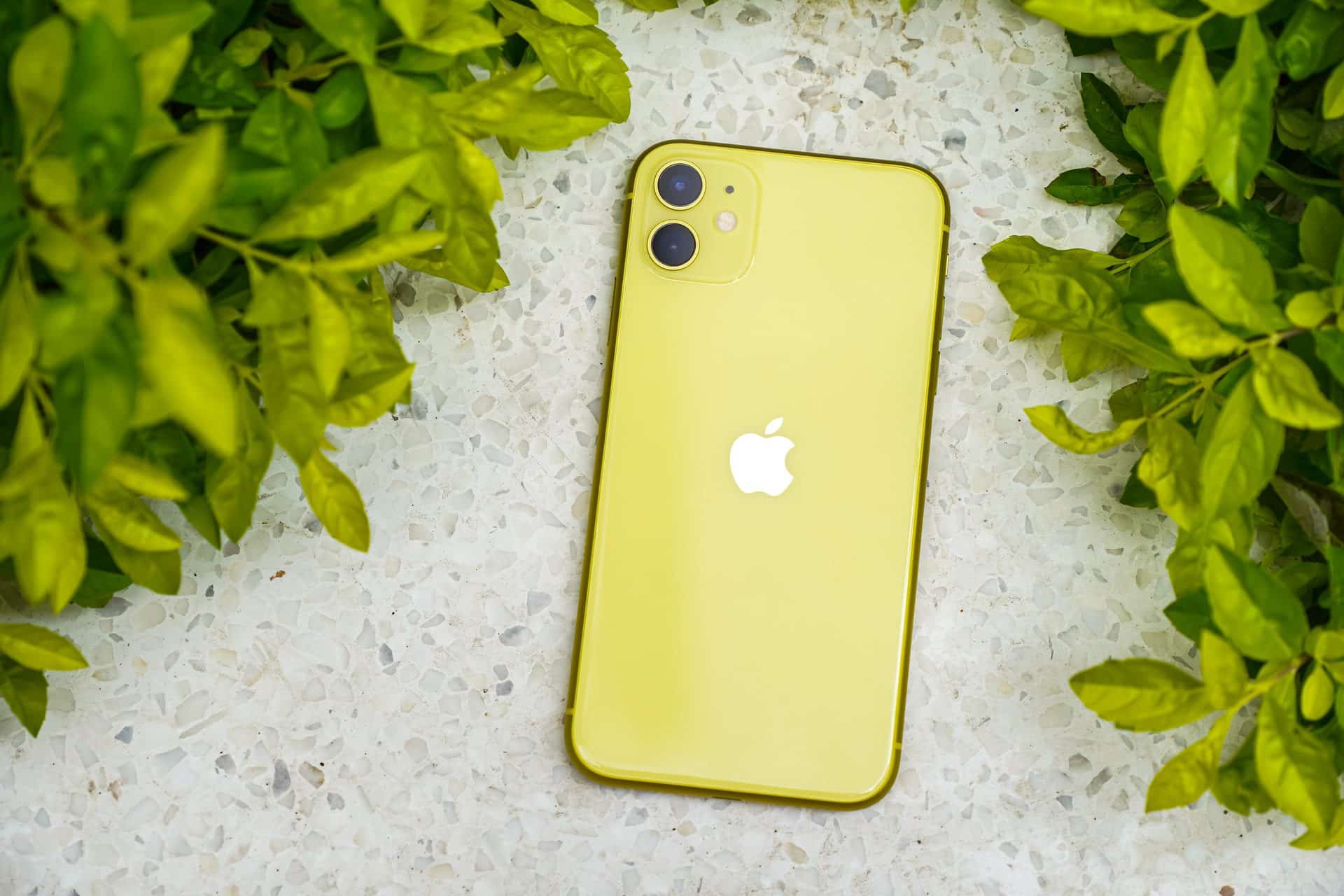 iPhone 11 v žltej farbe položený na mramore v okolí kvetov. Fotka zo zadnej strany