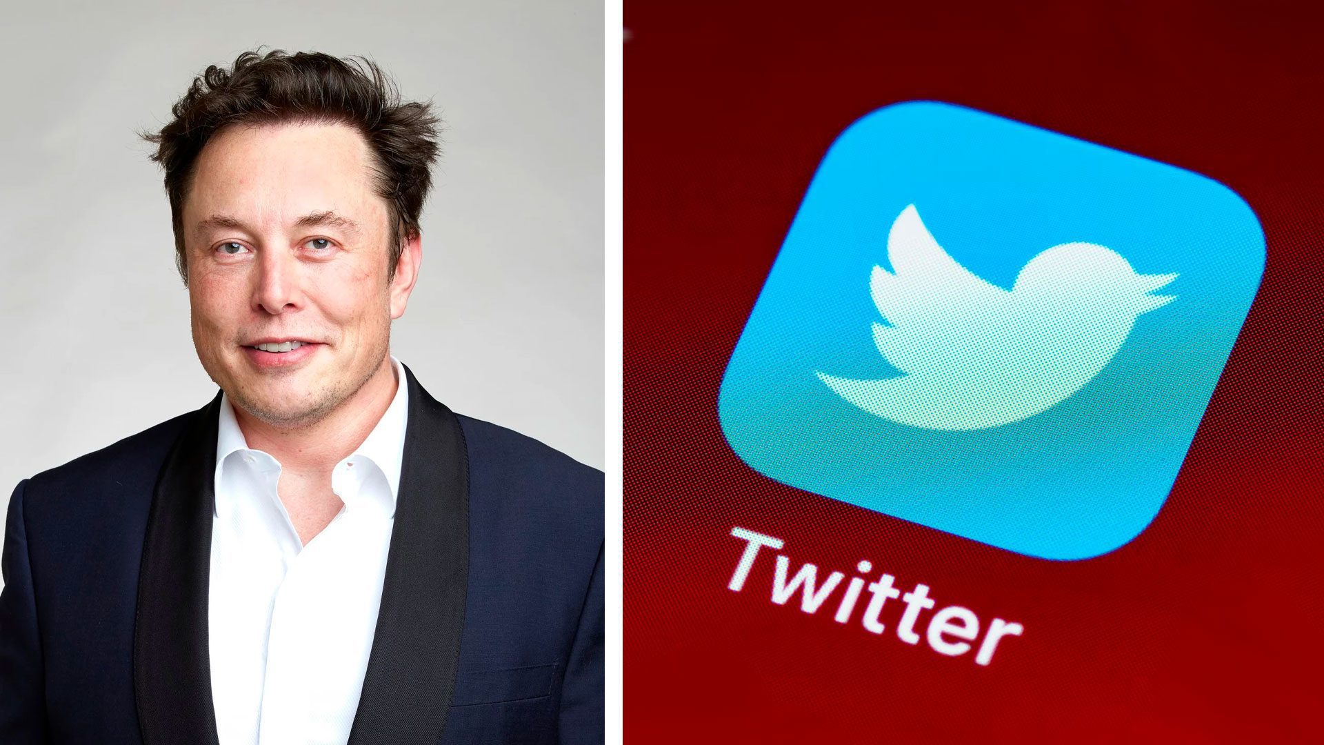 Elon Musk Twitter predplatné