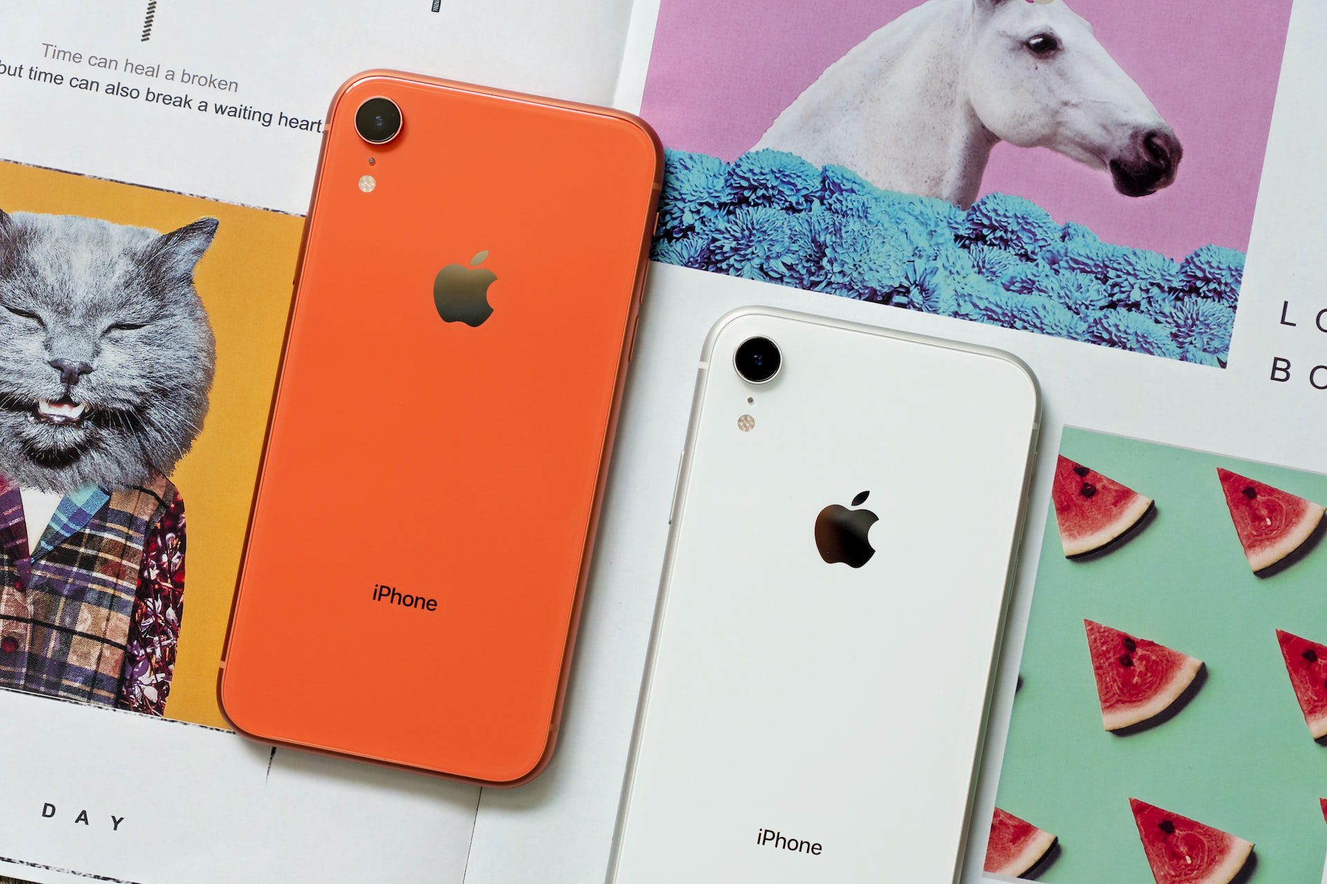 iPhone XR v oranžovej (korálovej) a bielej farbe položený na stole