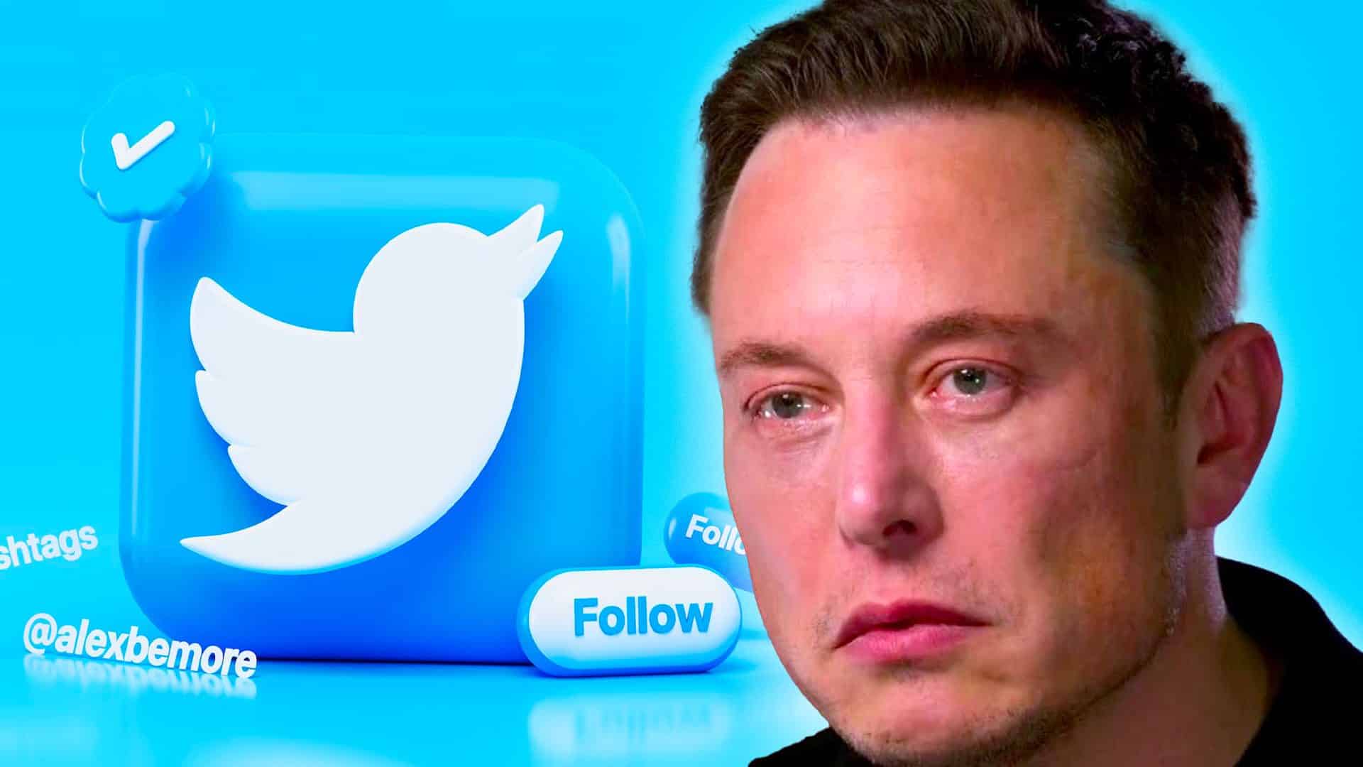 Elon Musk plače Twitter