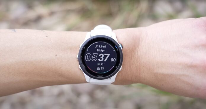 Garmin Forerunner 255 Garmin Forerunner 255