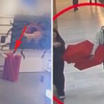 V Bratislave ukradli veľké logo Netflix za 600 €. Stalo sa to za bieleho dňa v nákupnom centre Zlodej v auparku ukradol logo Netflixu za 600 €