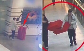 Zlodej v auparku ukradol logo Netflixu za 600 €