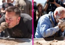 Elon Musk je betón umelá inteligencia
