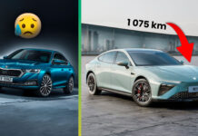 Neta S vs skoda octavia