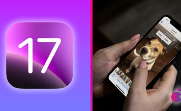 iOS 17 fotky zvierat