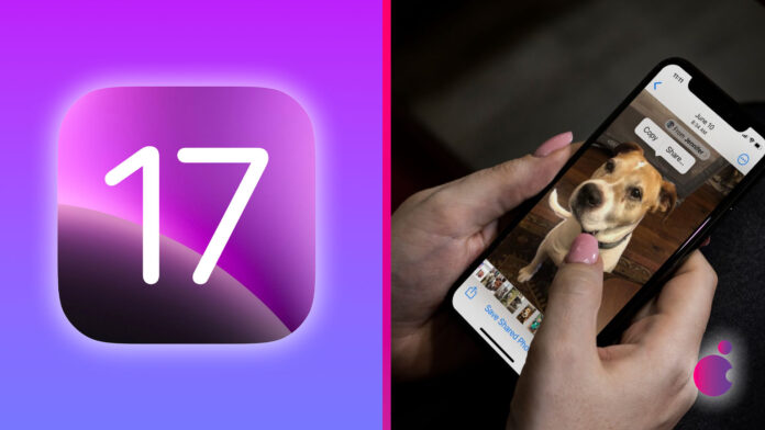 iOS 17 fotky zvierat iOS 17 fotky zvierat