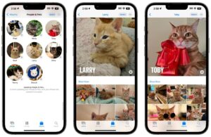 iOS 17 fotky zvierat