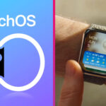watchOS 10 widgety