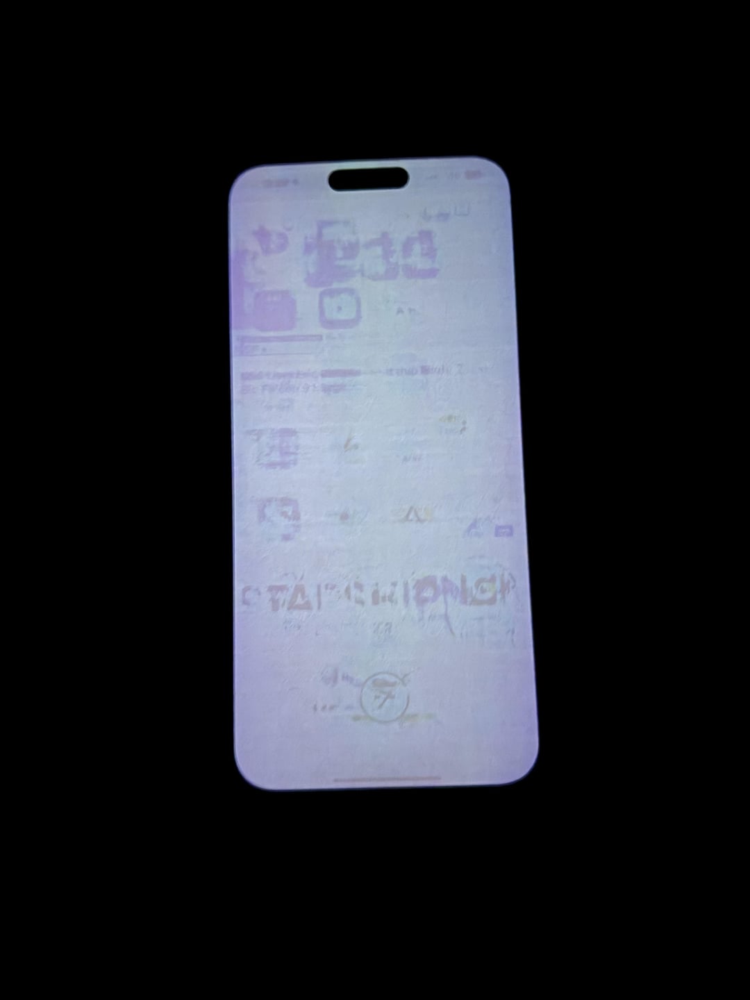 iPhone 15 Pro Max vypálený OLED displej