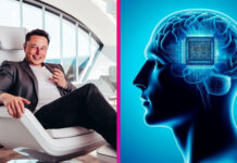 neuralink elon musk