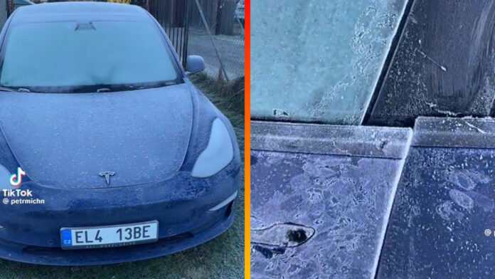 Zamrznutá Tesla Zamrznutá Tesla