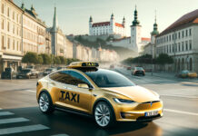 Tesla Taxi / Robotaxi