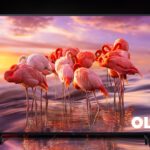 Samsung TV OLED