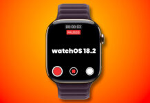 watchOS 18.2