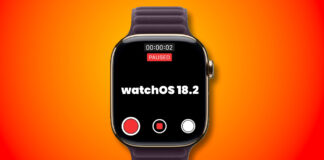 watchOS 18.2