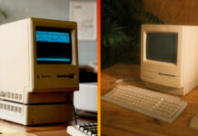 Macintosh