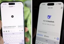 ChatGPT vs DeepSeek