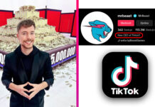 MR Beast TikTok