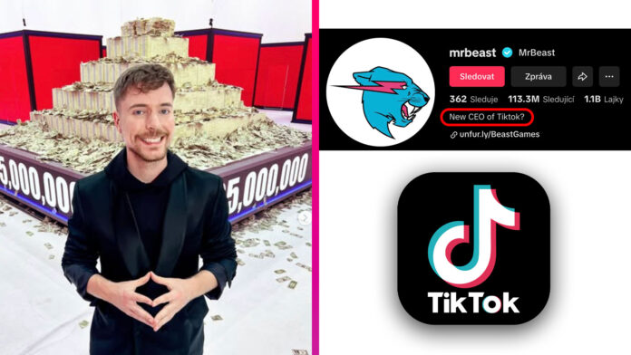 MR Beast TikTok