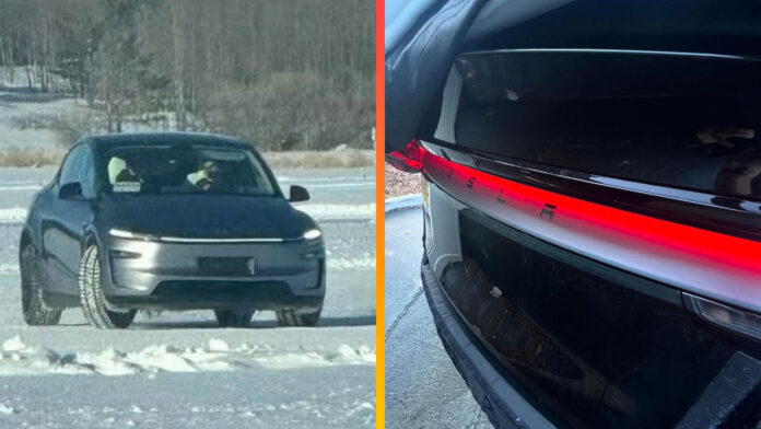 Tesla Model Y Juniper