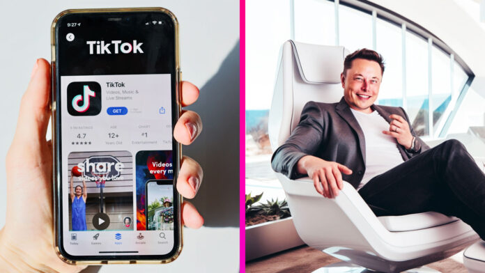 TikTok a Elon Musk