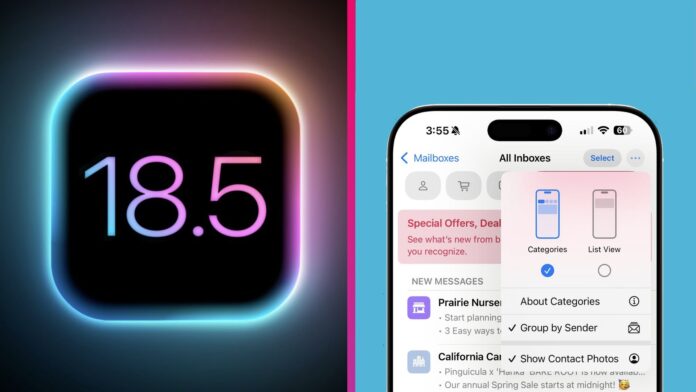 iOS 18.5