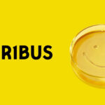 Pluribus