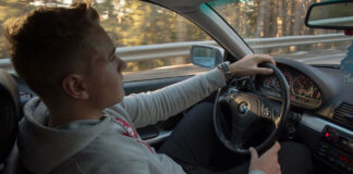 šofér bmw sám