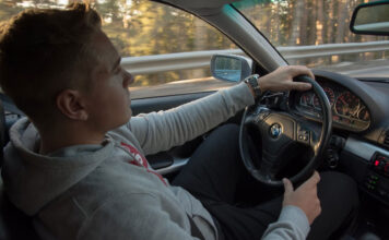 šofér bmw sám