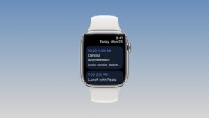 Google Kalendár pre Apple Watch