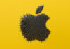 pple odhalil kód svojho najsilnejšieho šifrovania. Pripravuje sa na éru kvantových počítačov Apple logo magnet