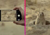 iPhone reklama