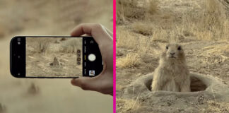 iPhone reklama