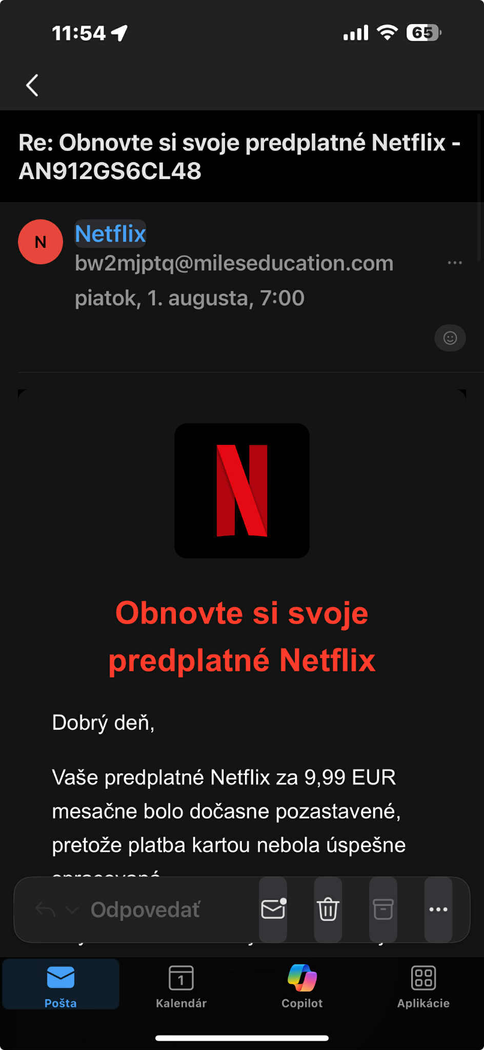 Netflix podvod