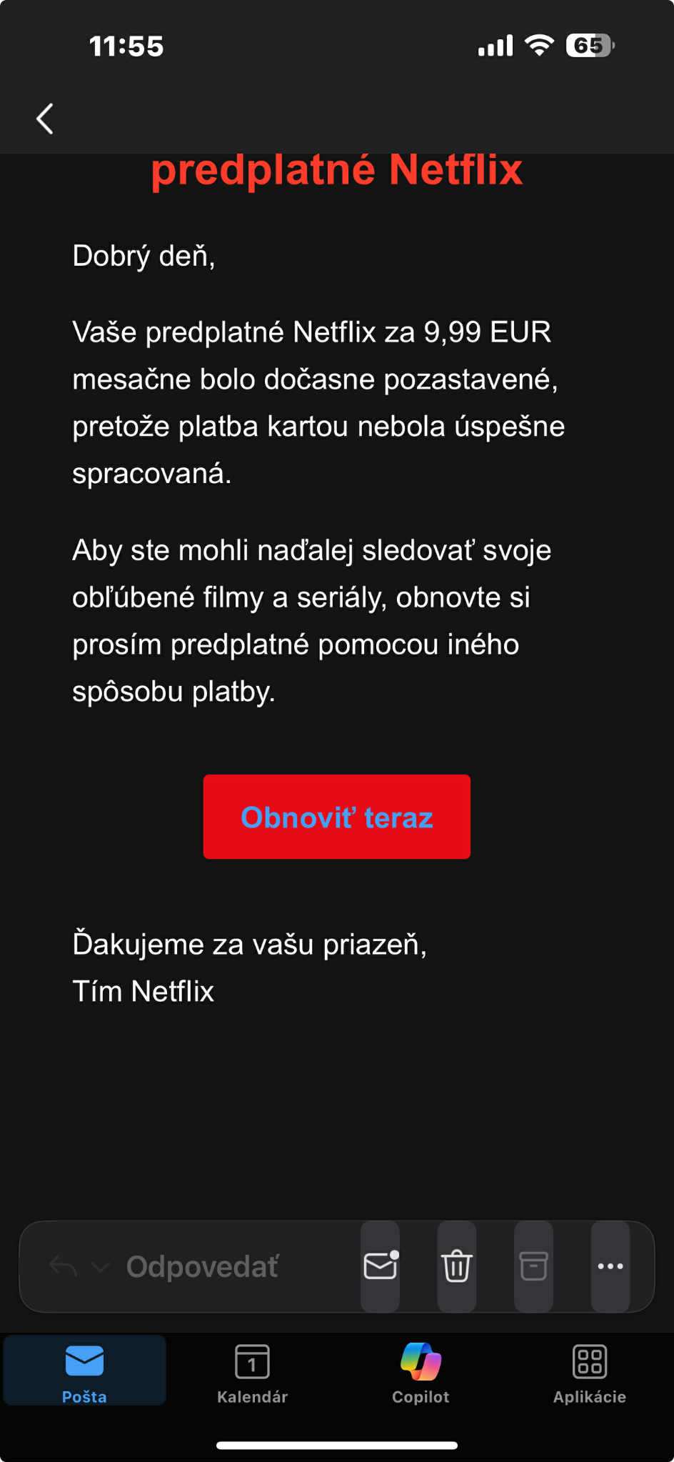 Netflix podvod